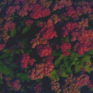 亚洲AV㊙️无码一区白分峰美
