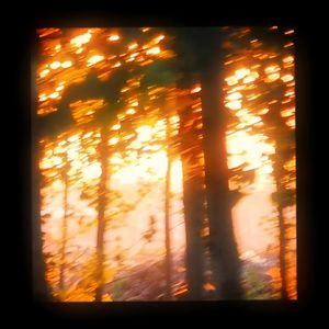 亚洲AV㊙️无码一区白分峰美
