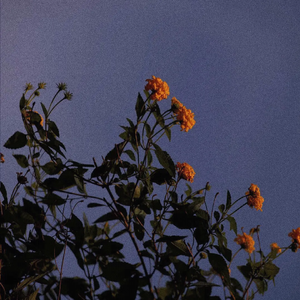 亚洲AV㊙️无码一区白分峰美
